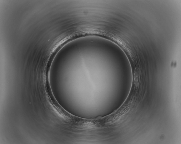 X0000091500390200708161503