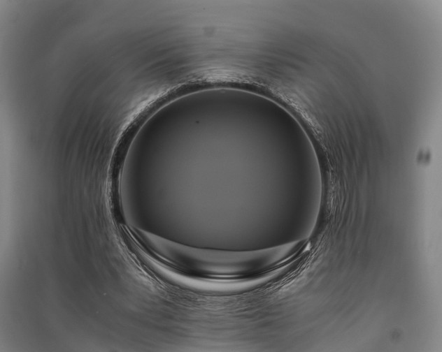 X0000091500391200708161503