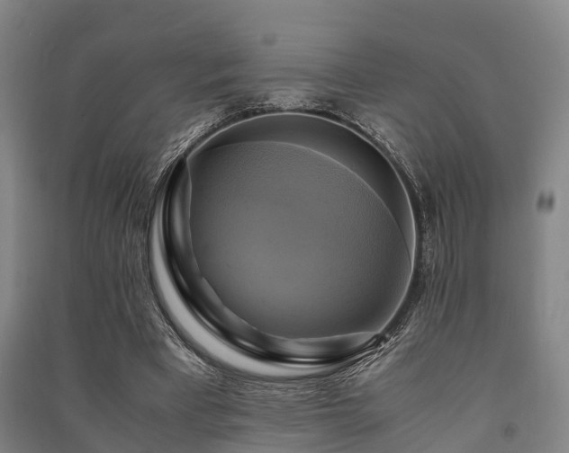 X0000091500393200708161503