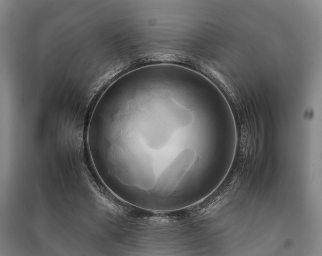 X0000091500394200708161503