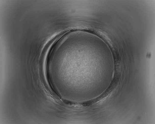 X0000091500395200708161503
