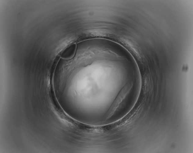 X0000091500398200708161503
