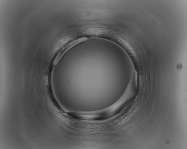 X0000091500399200708161503