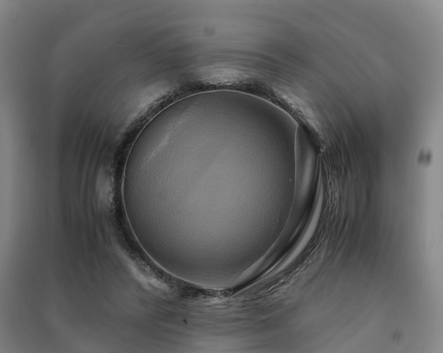 X0000091500400200708161503