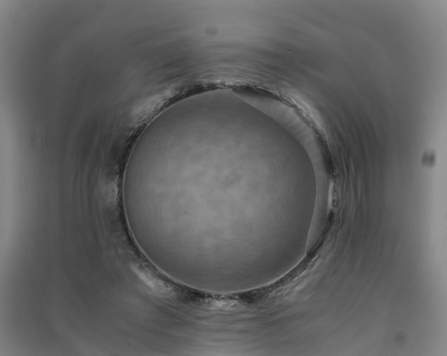 X0000091500401200708161503