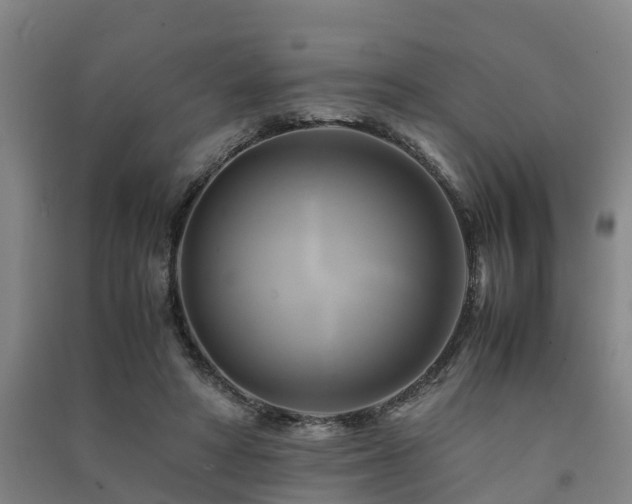 X0000091500402200708161503