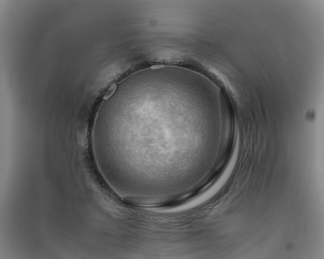 X0000091500403200708161503