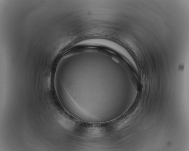 X0000091500404200708161503