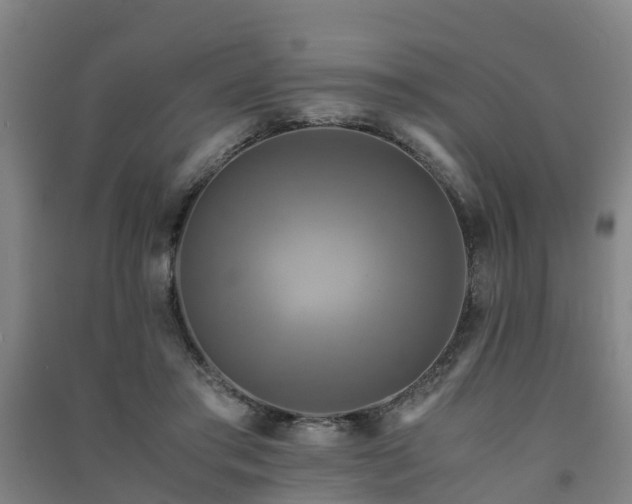 X0000091500405200708161503