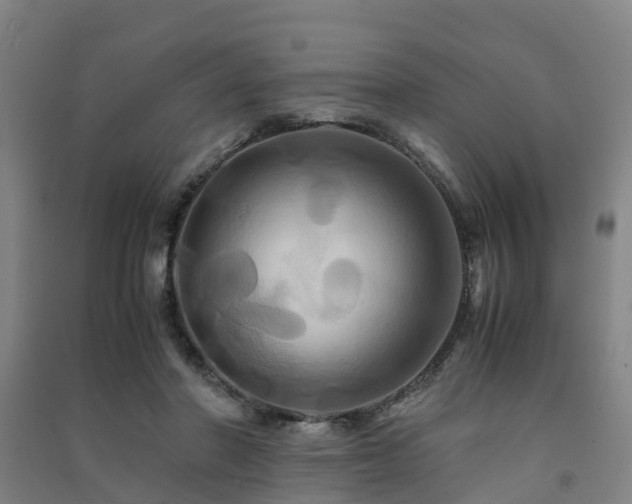 X0000091500406200708161503