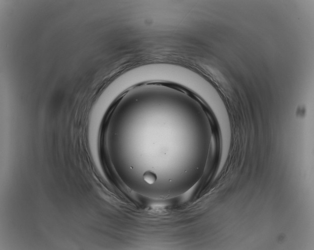 X0000091500409200708161503