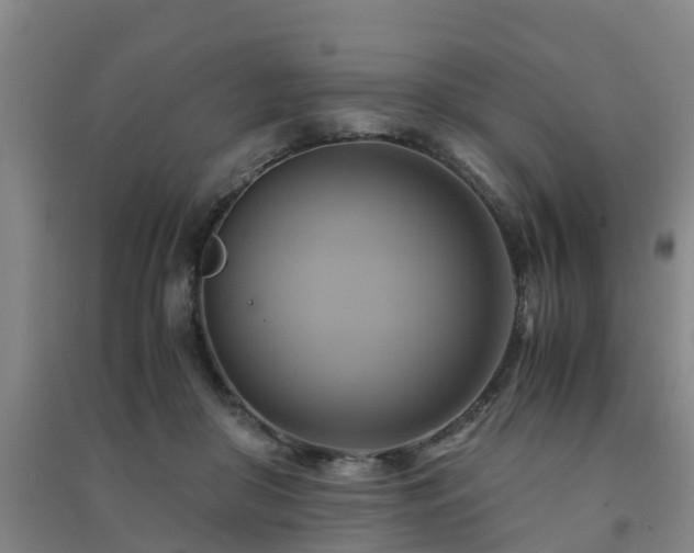 X0000091500410200708161503