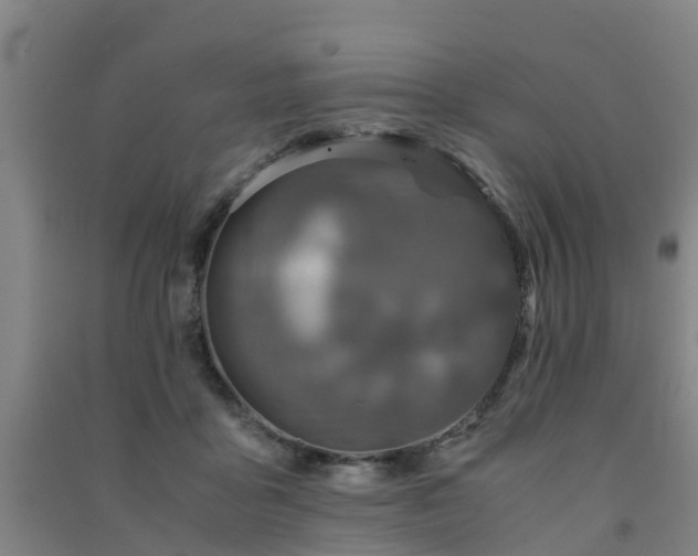 X0000091500411200708161503