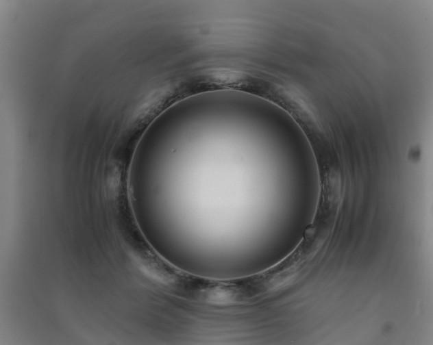X0000091500412200708161503