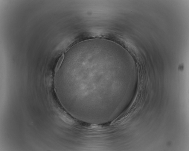 X0000091500413200708161503