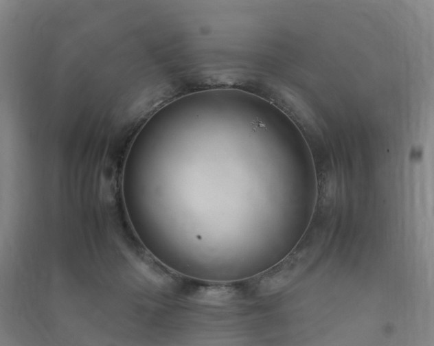 X0000091500414200708161503
