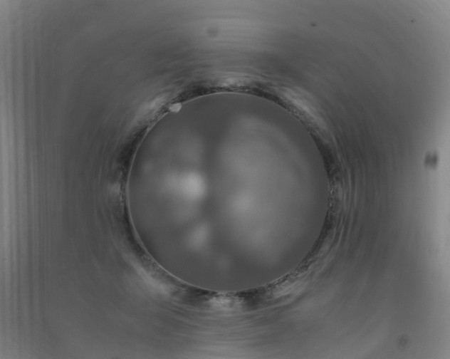 X0000091500415200708161503