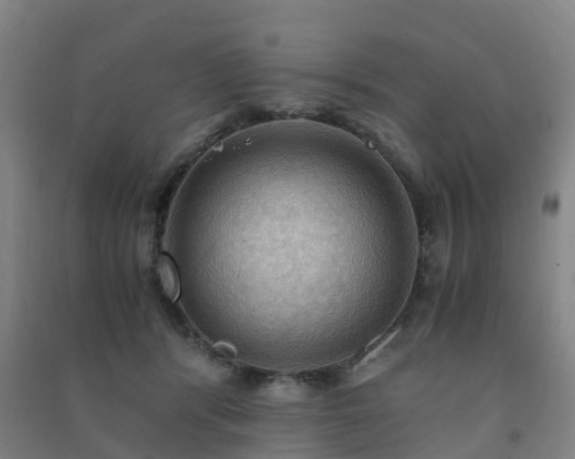 X0000091500416200708161503
