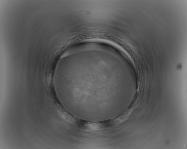 X0000091500417200708161503