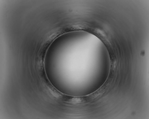 X0000091500418200708161503