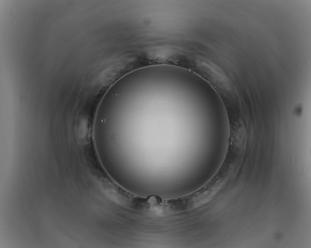 X0000091500420200708161503