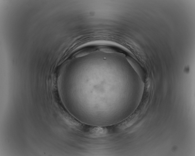 X0000091500421200708161503