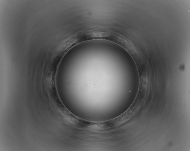 X0000091500422200708161503