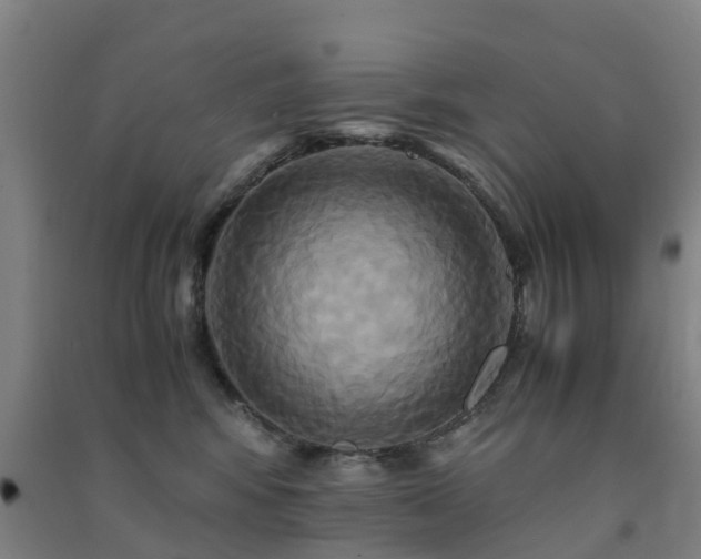 X0000091500424200708161503