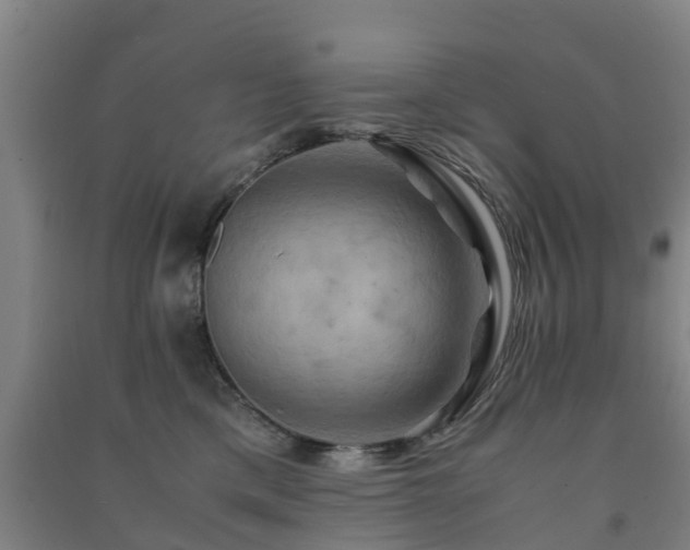 X0000091500425200708161503