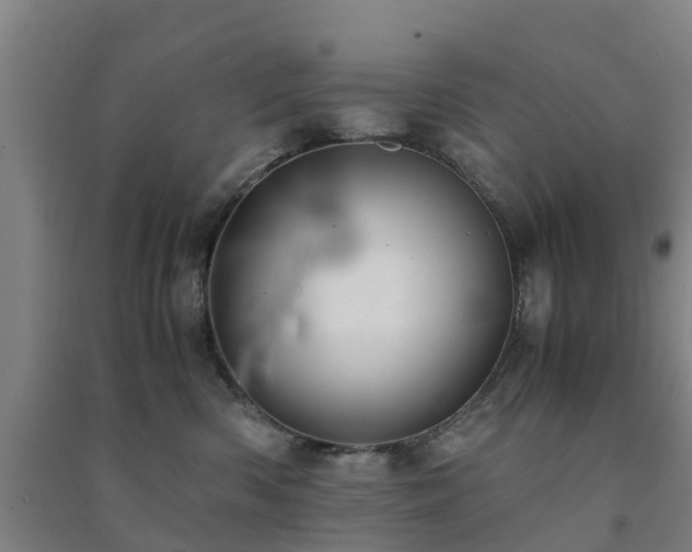 X0000091500426200708161503