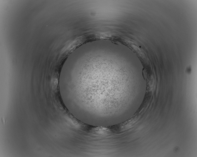 X0000091500427200708161503