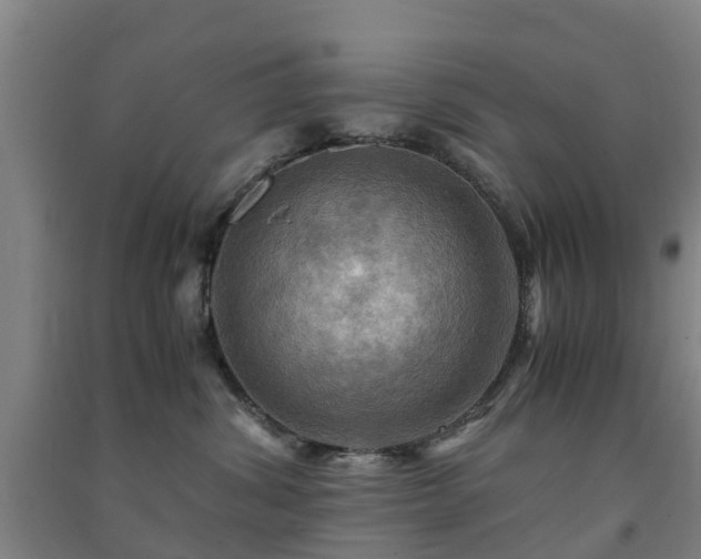 X0000091500428200708161503