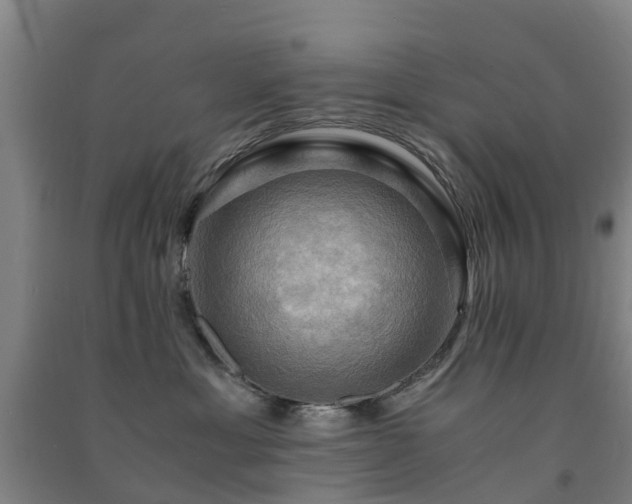 X0000091500429200708161503