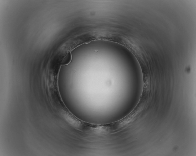 X0000091500430200708161503