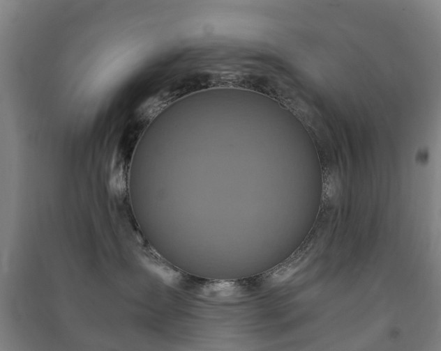 X0000091500431200708161502