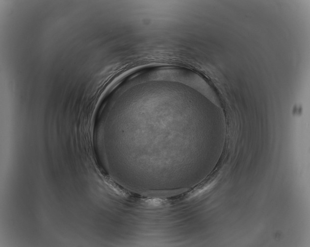 X0000091500432200708161502