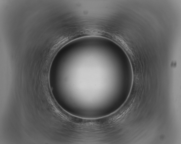 X0000091500433200708161502