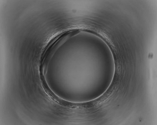 X0000091500434200708161502