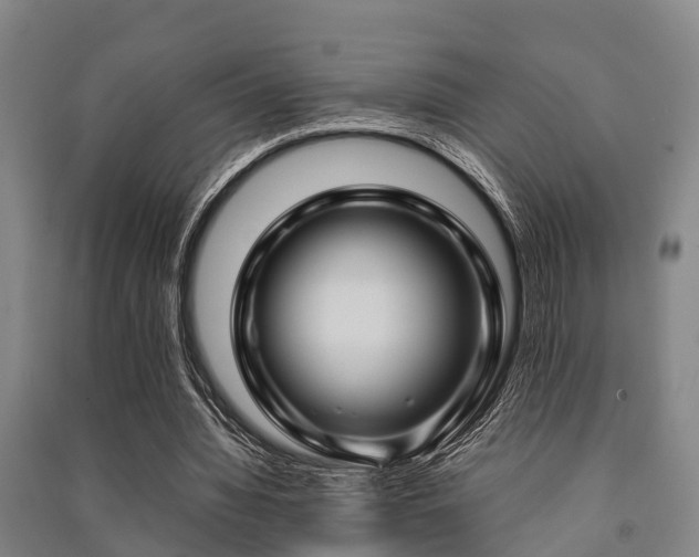 X0000091500436200708161502