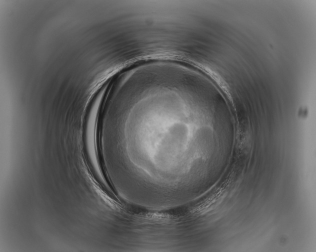 X0000091500437200708161502