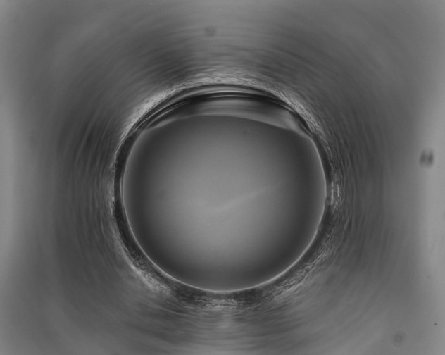 X0000091500438200708161502