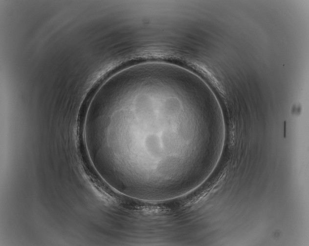 X0000091500439200708161502
