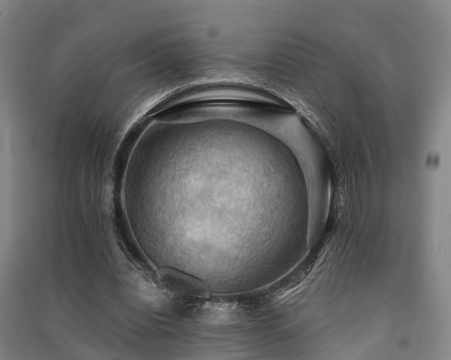 X0000091500440200708161502