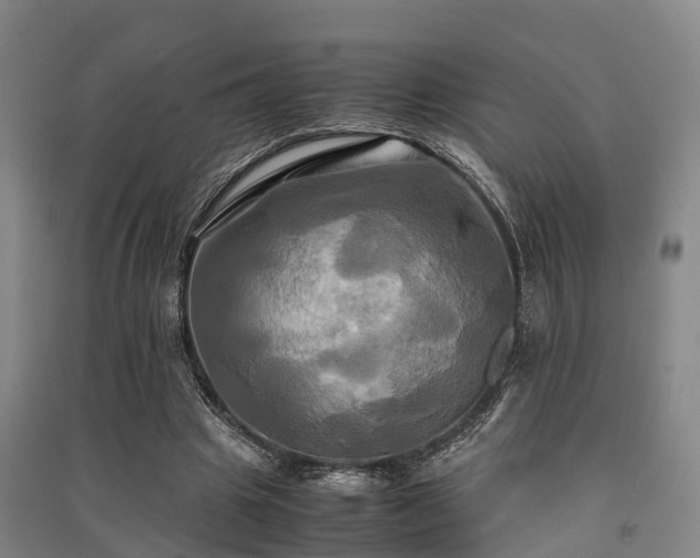 X0000091500441200708161502