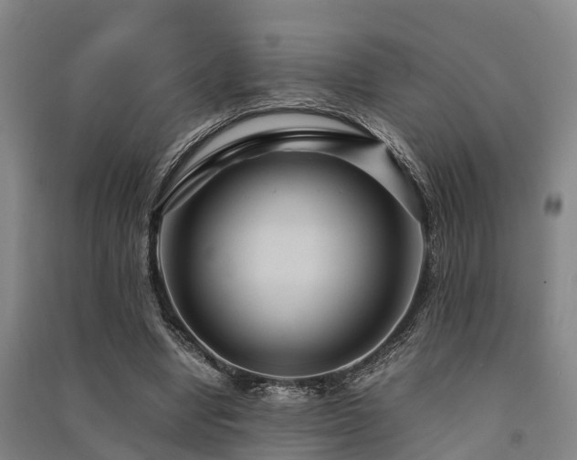 X0000091500442200708161502