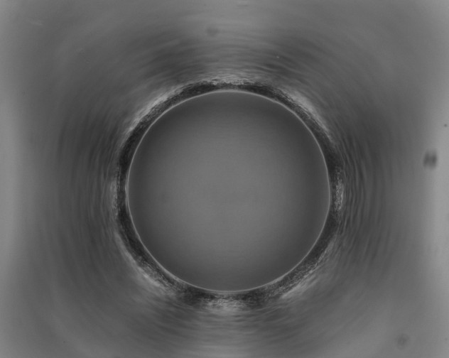 X0000091500444200708161502