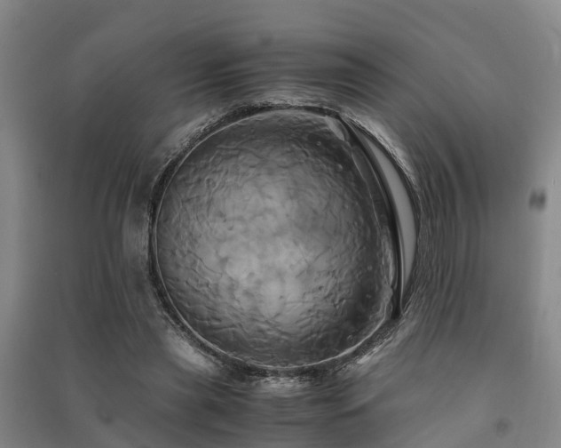 X0000091500445200708161502