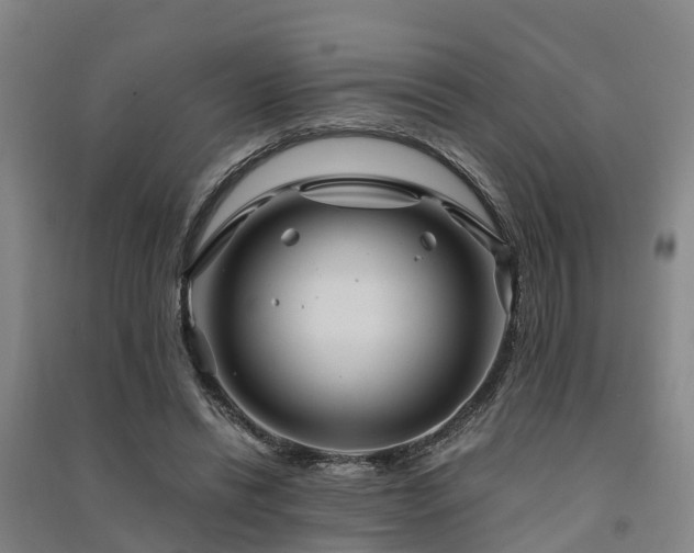 X0000091500446200708161502