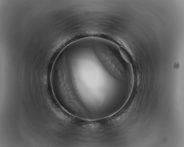 X0000091500447200708161502