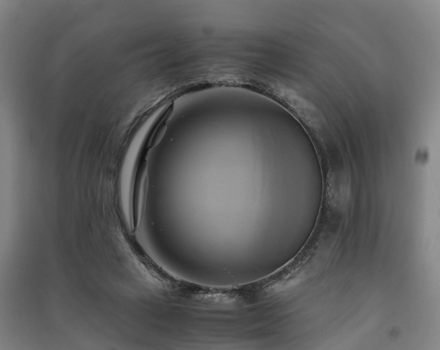 X0000091500449200708161502